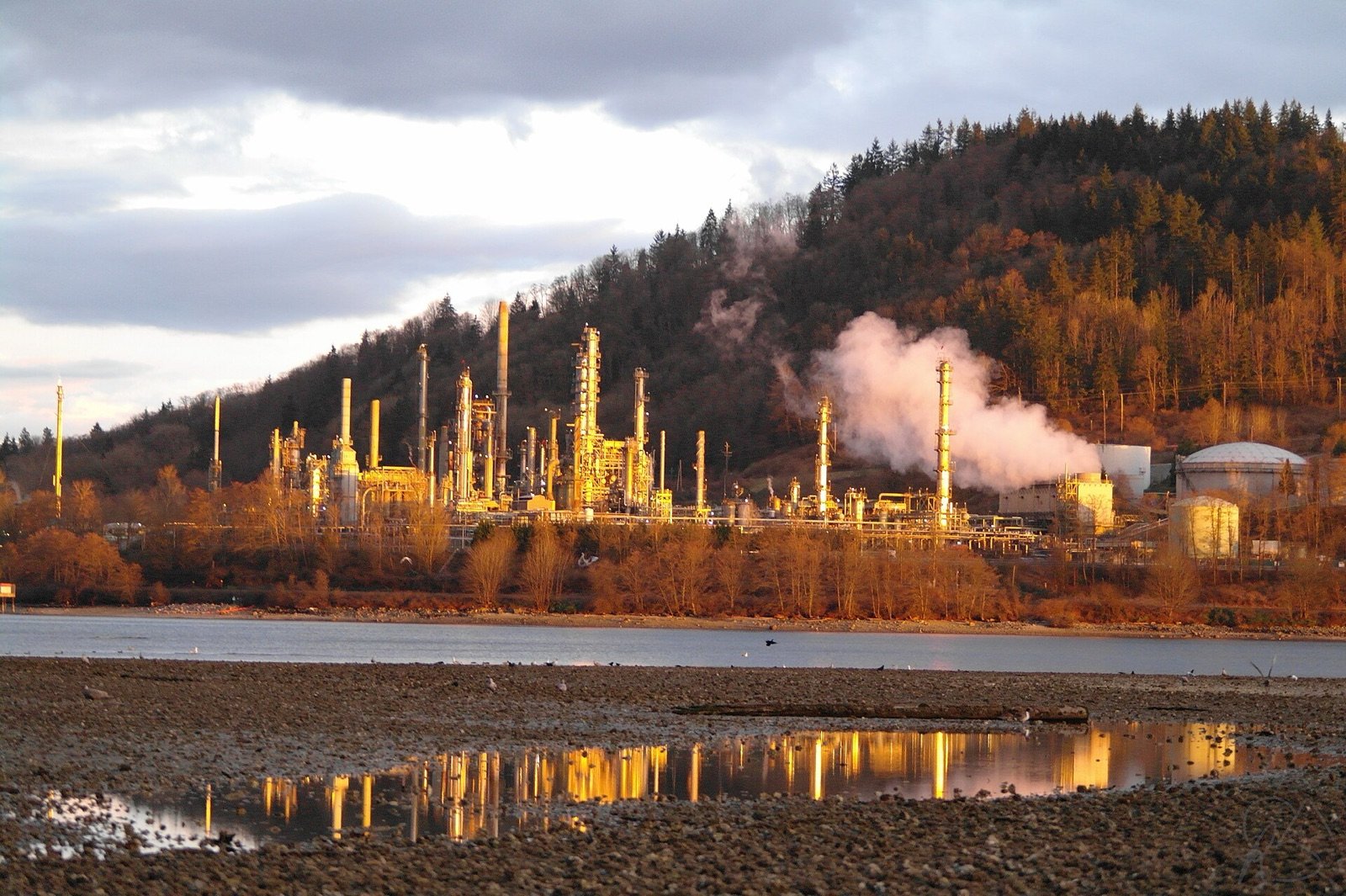 Petroleum refinery at dusk